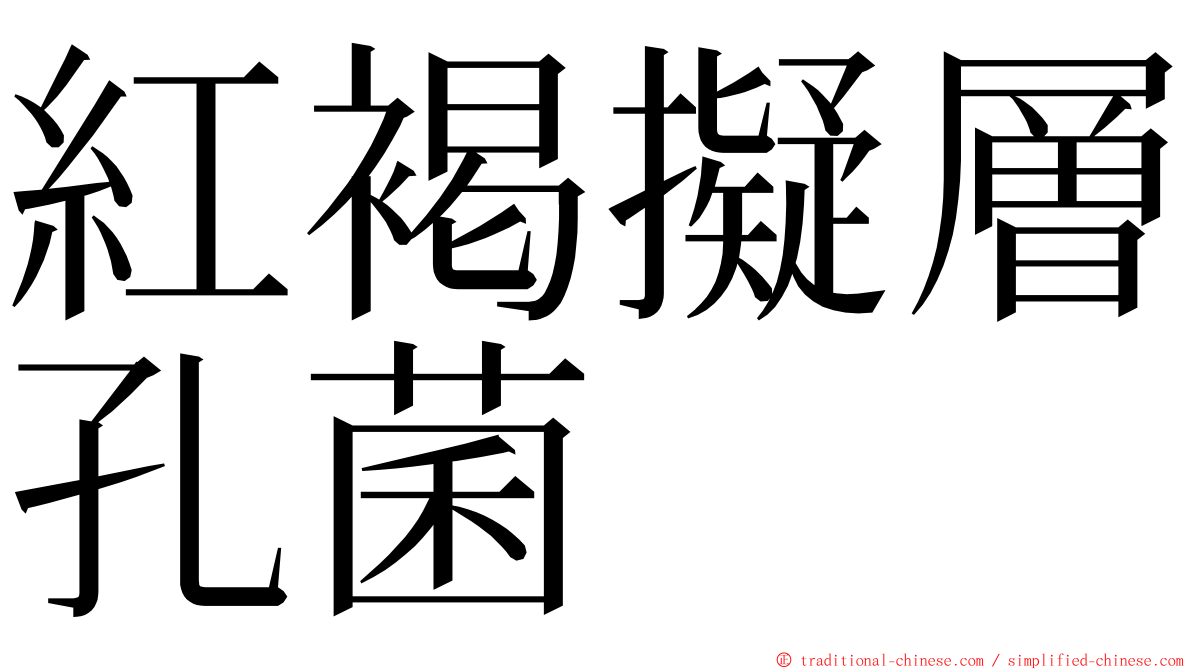 紅褐擬層孔菌 ming font