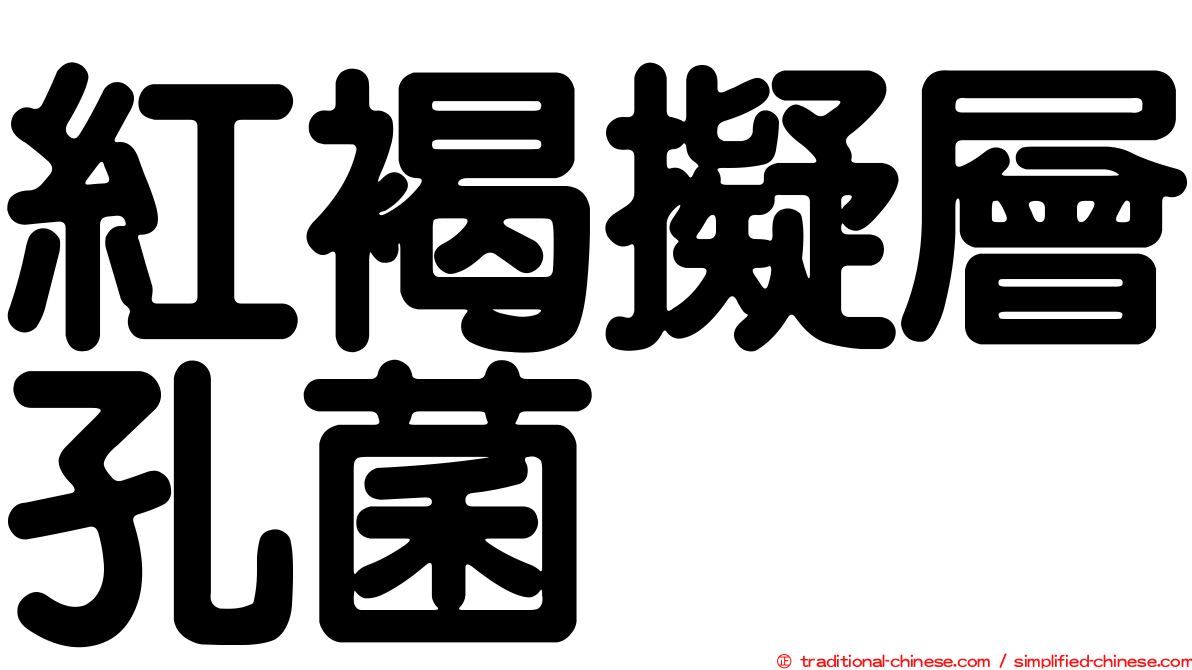 紅褐擬層孔菌