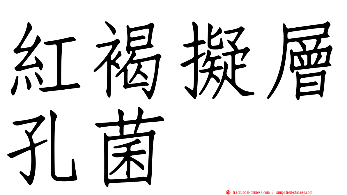 紅褐擬層孔菌