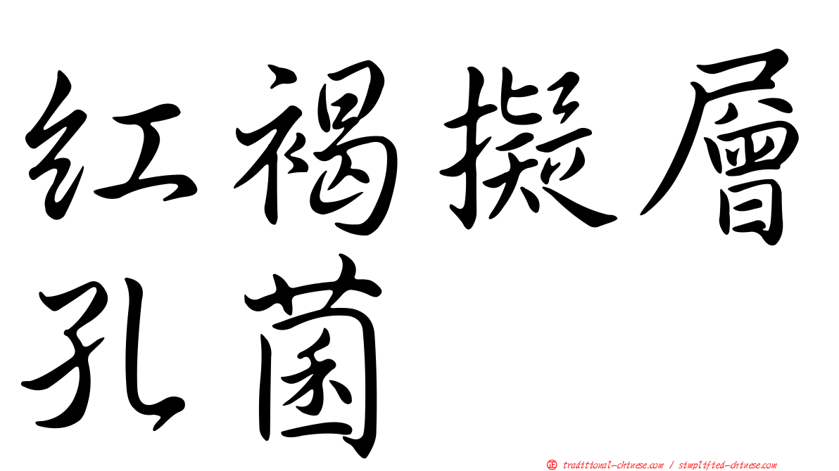 紅褐擬層孔菌