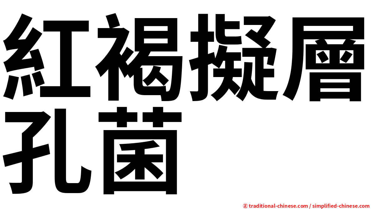 紅褐擬層孔菌
