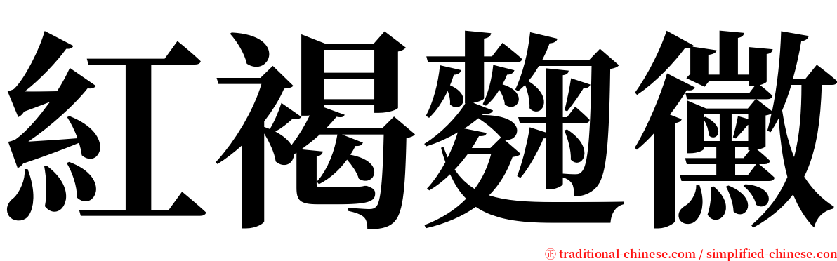 紅褐麴黴 serif font