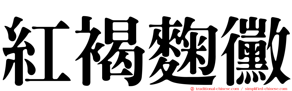 紅褐麴黴