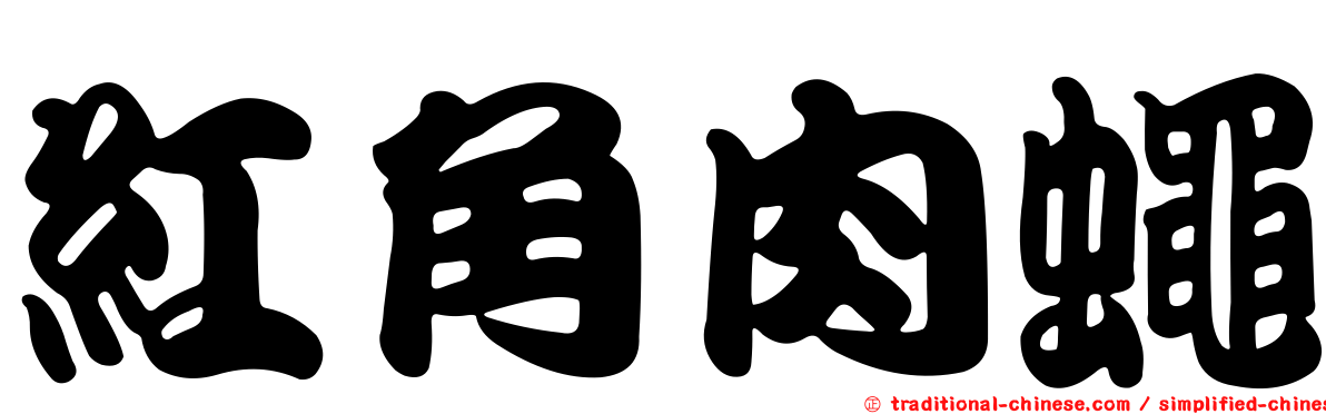 紅角肉蠅