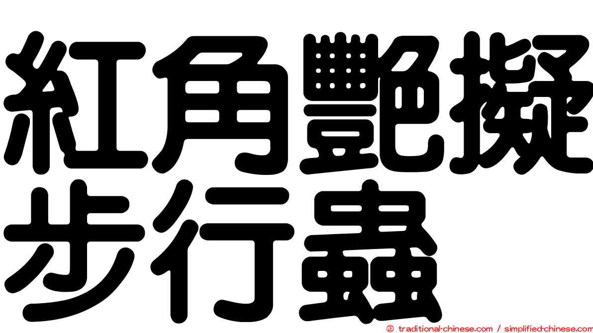 紅角艷擬步行蟲