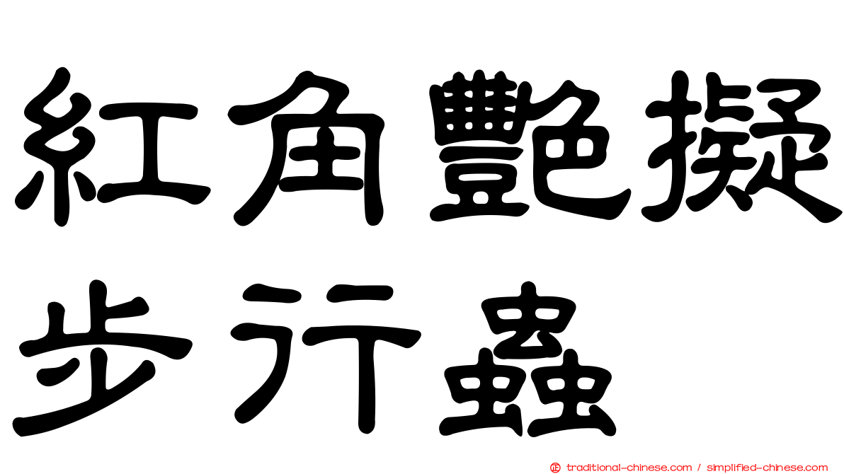 紅角艷擬步行蟲