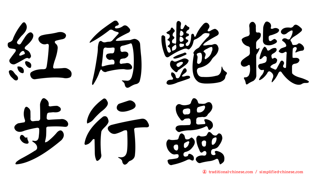 紅角艷擬步行蟲