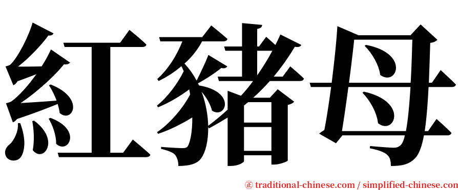 紅豬母 serif font