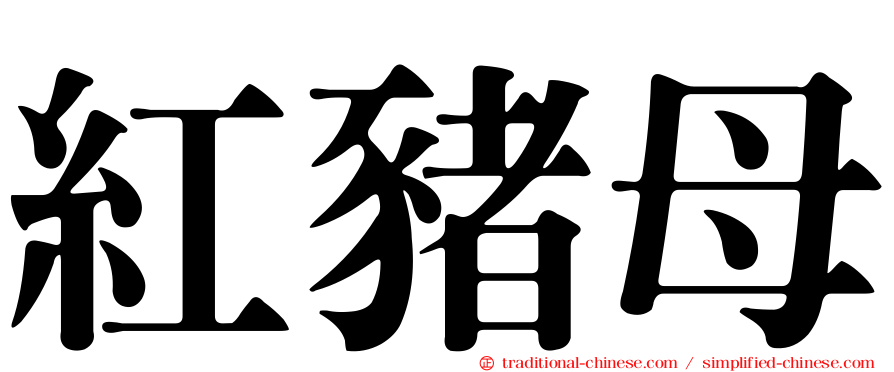 紅豬母