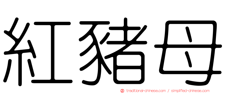 紅豬母