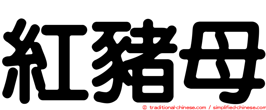 紅豬母