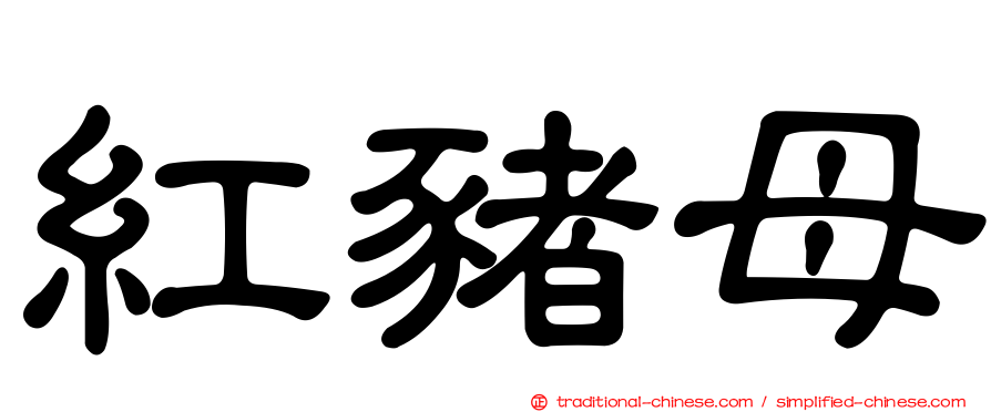 紅豬母