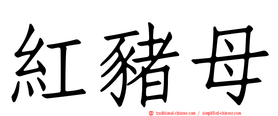 紅豬母