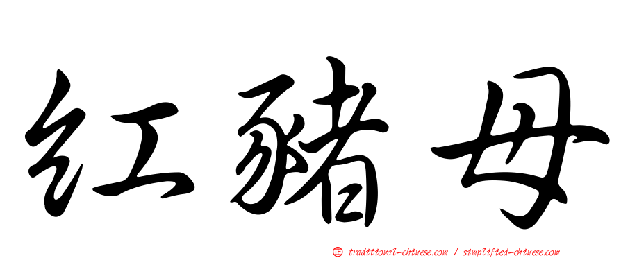 紅豬母