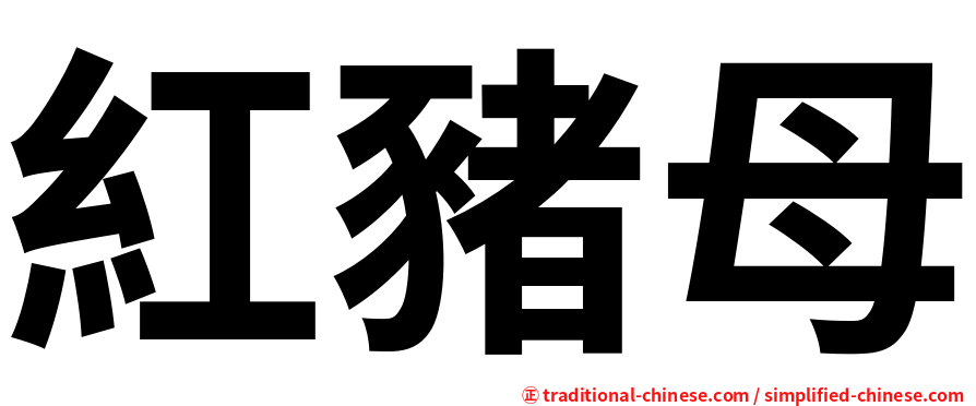 紅豬母