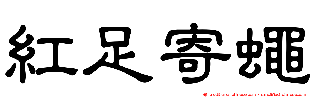 紅足寄蠅