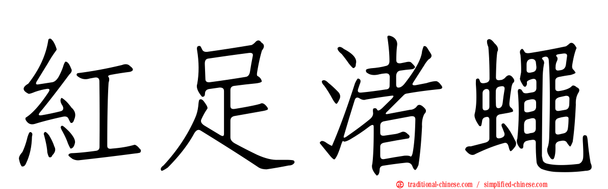 紅足渚蠅