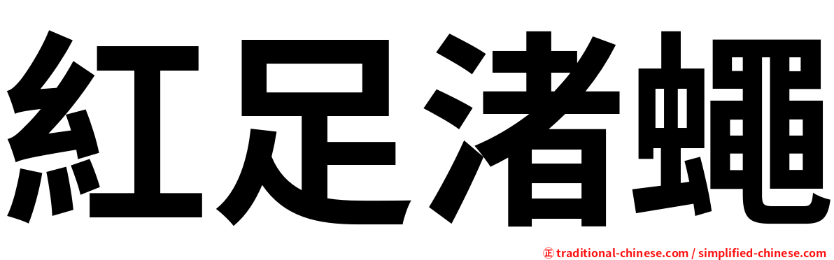 紅足渚蠅