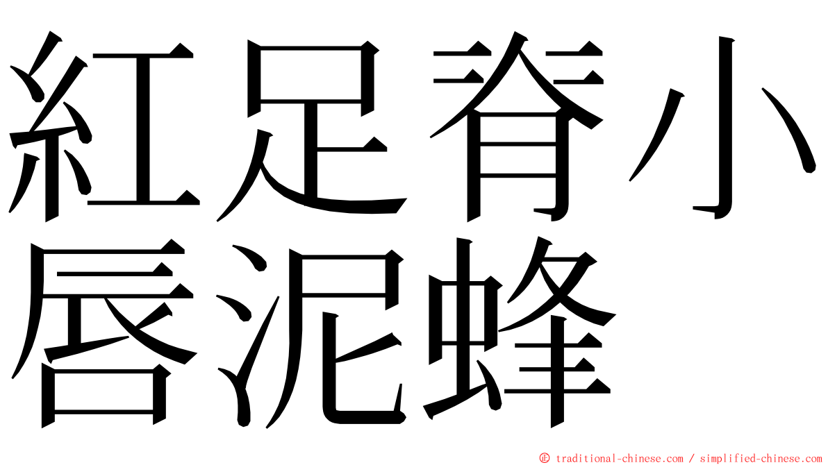 紅足脊小唇泥蜂 ming font