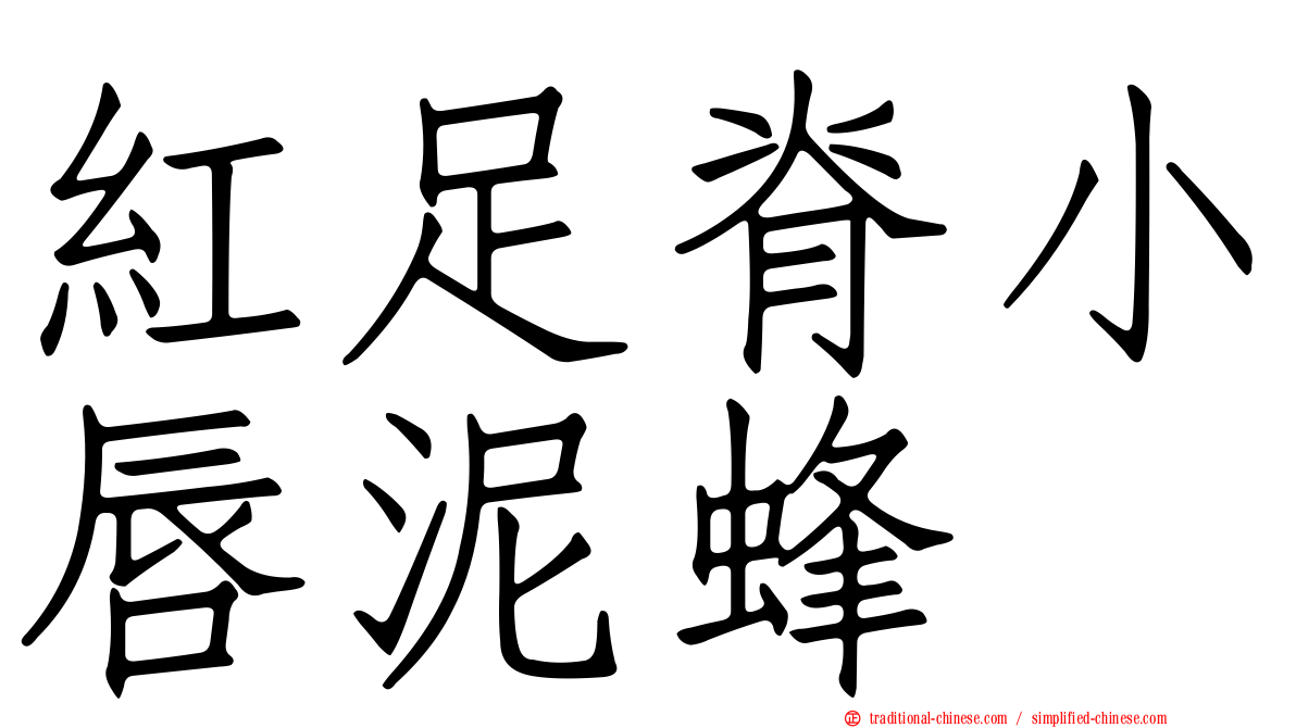 紅足脊小唇泥蜂