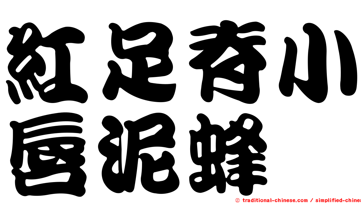 紅足脊小唇泥蜂