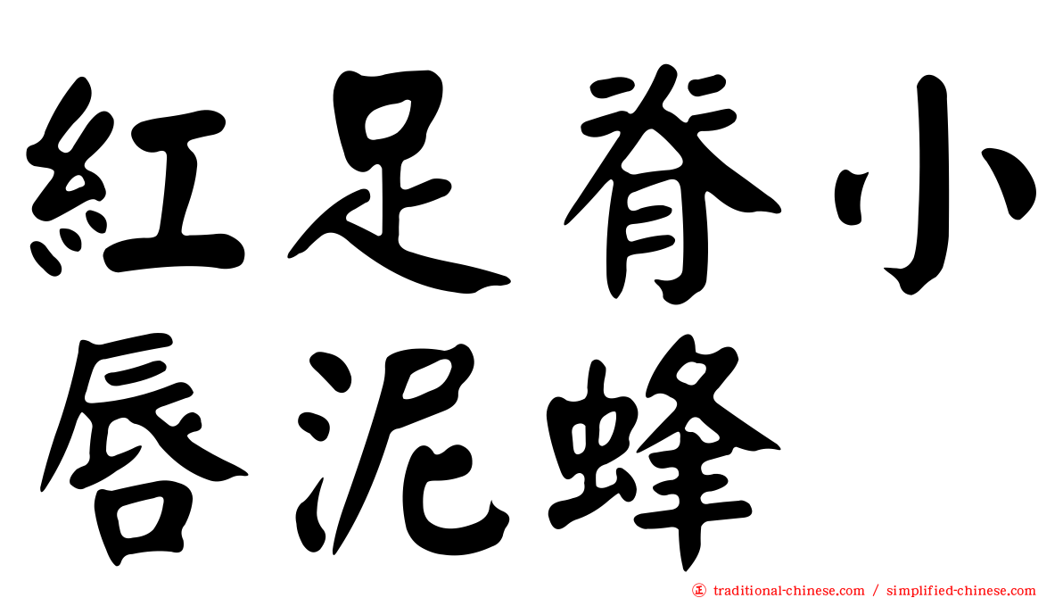 紅足脊小唇泥蜂
