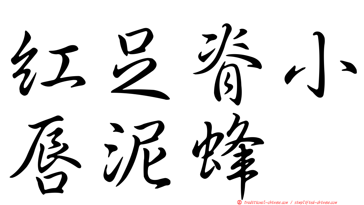 紅足脊小唇泥蜂