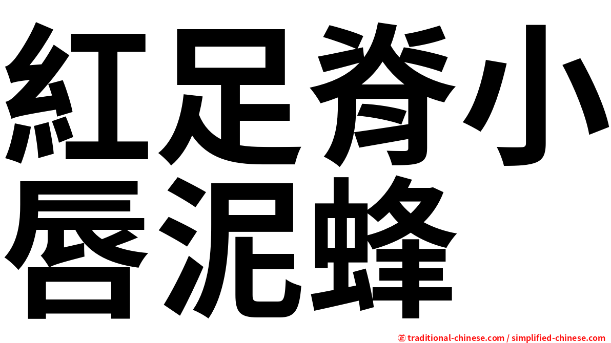 紅足脊小唇泥蜂