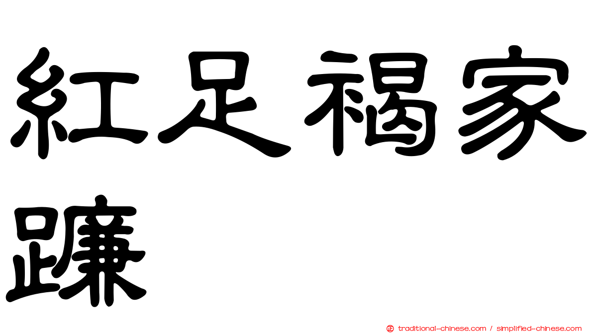 紅足褐家蠊