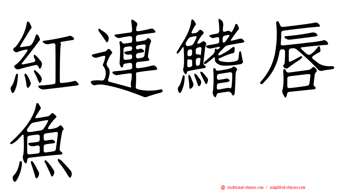 紅連鰭唇魚