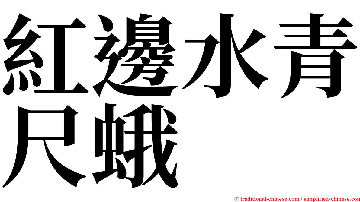 紅邊水青尺蛾 serif font