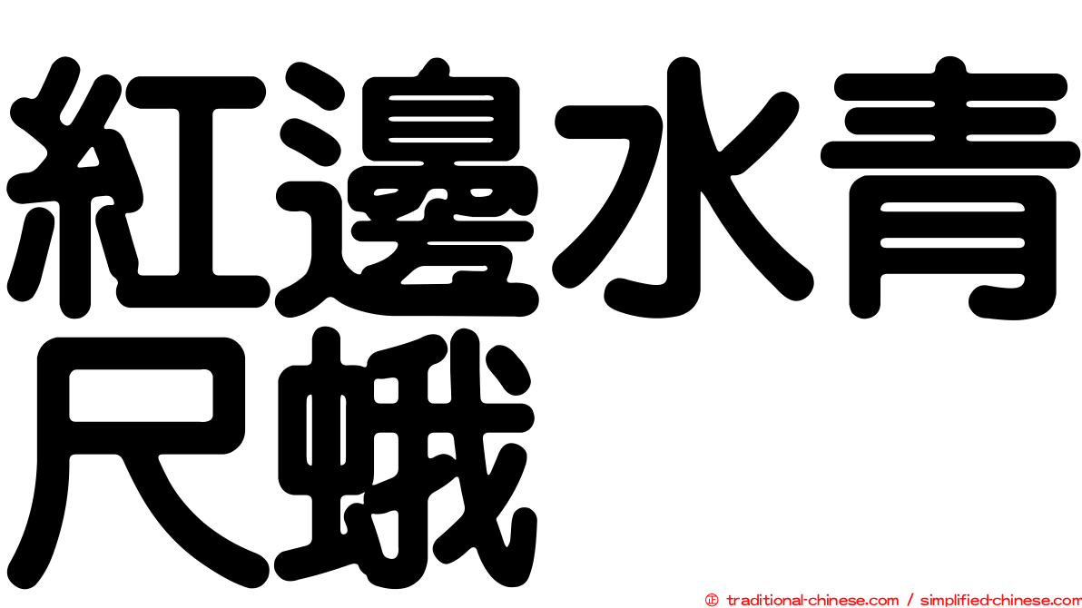 紅邊水青尺蛾