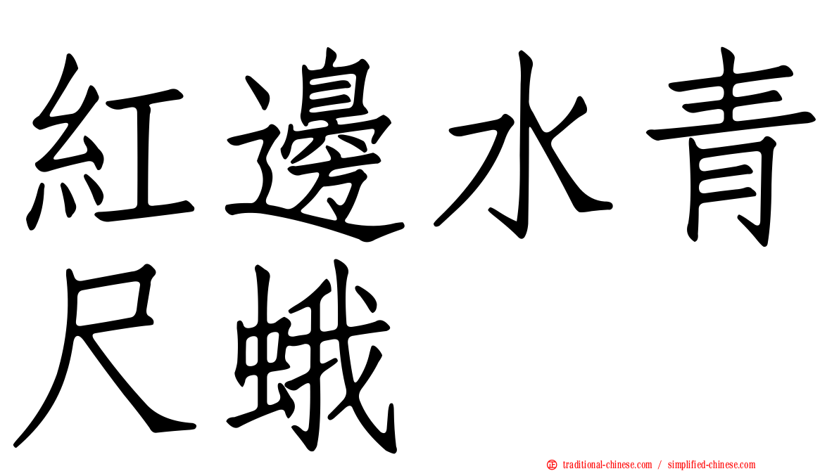 紅邊水青尺蛾