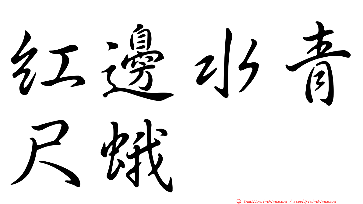 紅邊水青尺蛾