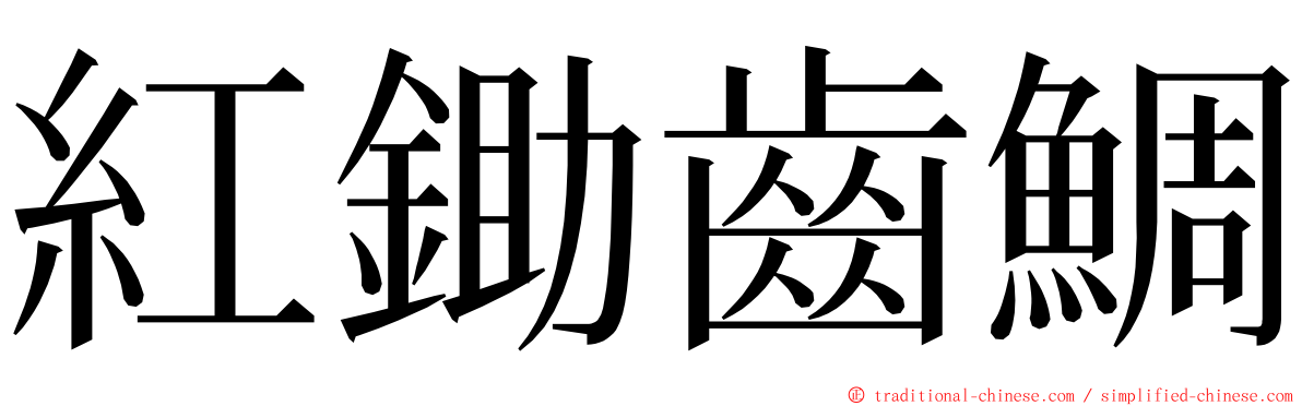 紅鋤齒鯛 ming font