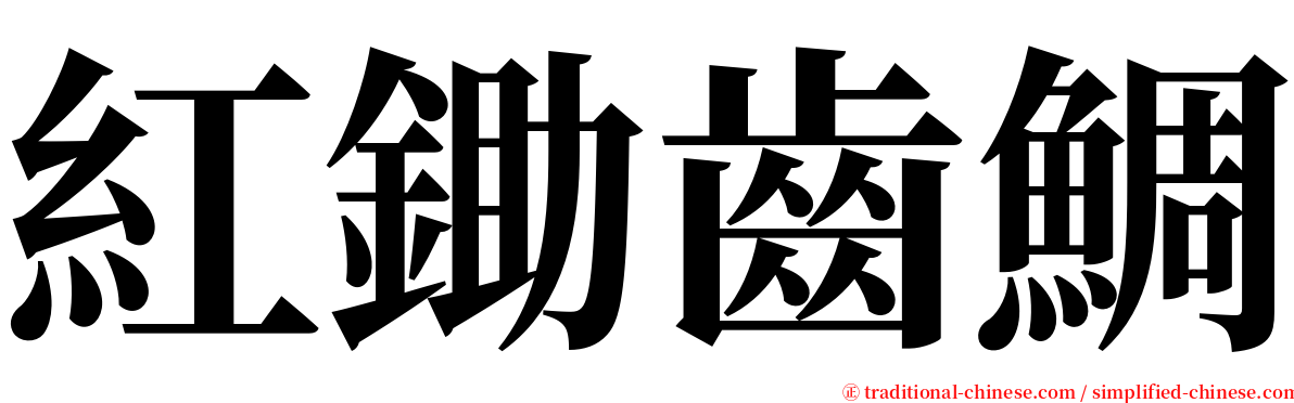 紅鋤齒鯛 serif font