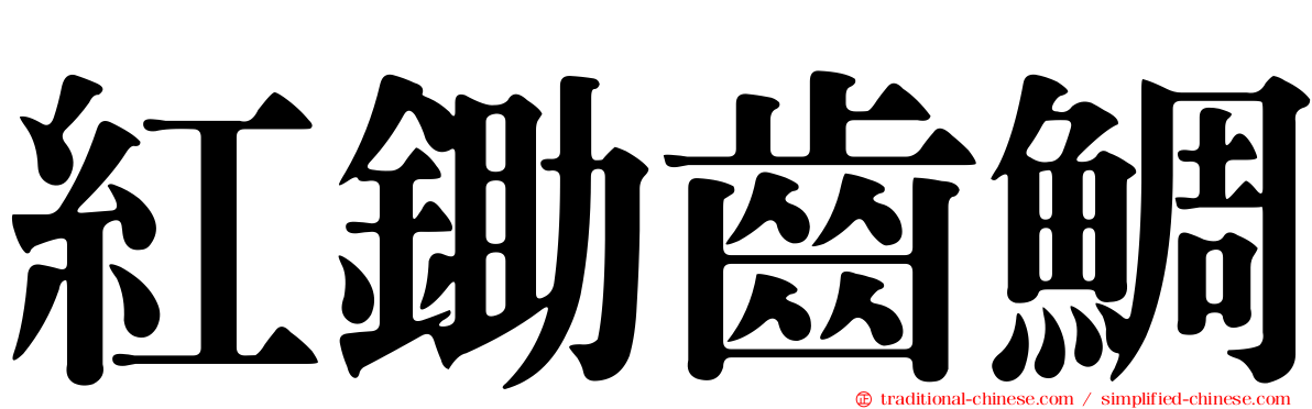 紅鋤齒鯛