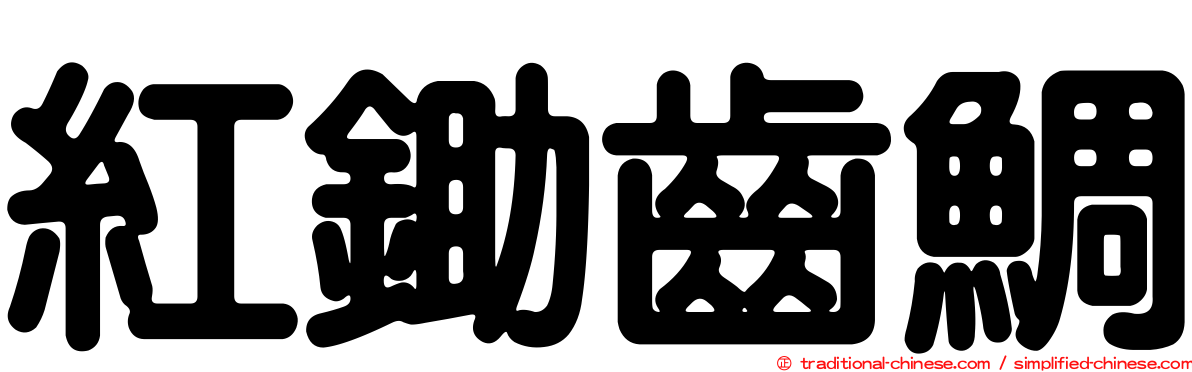 紅鋤齒鯛