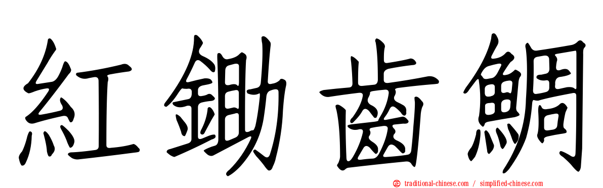 紅鋤齒鯛
