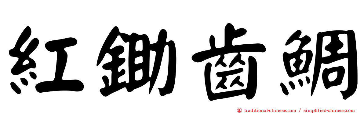 紅鋤齒鯛