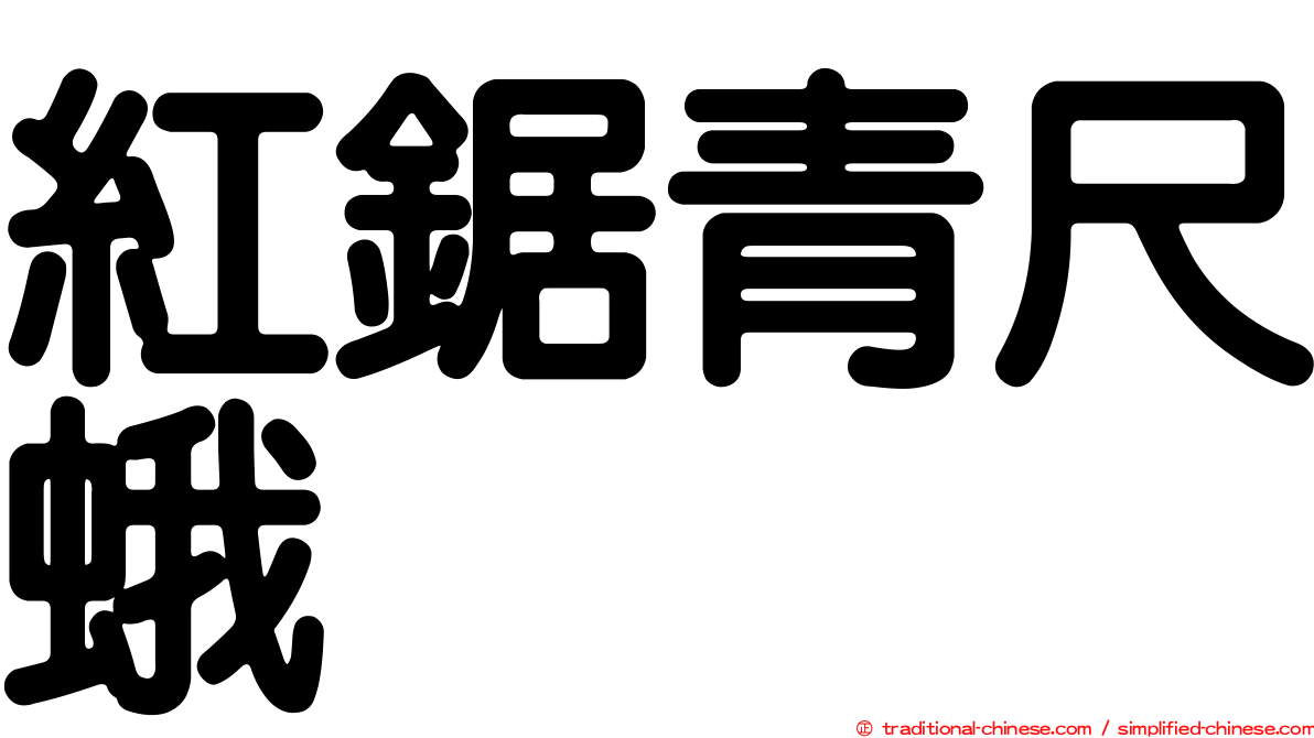 紅鋸青尺蛾