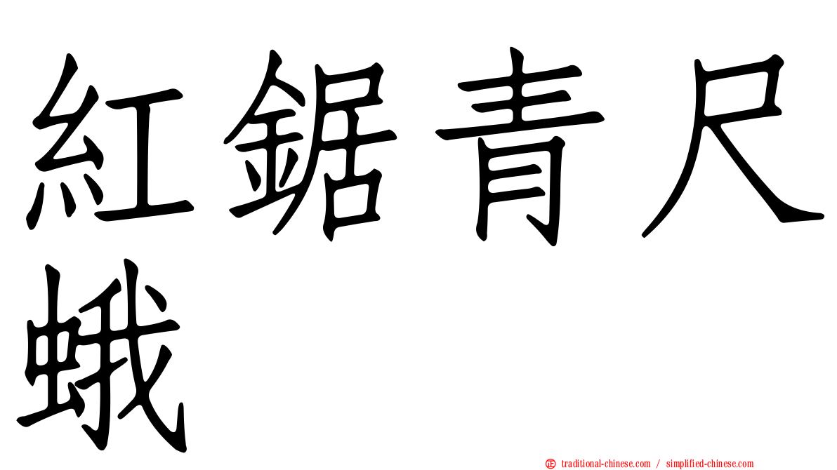 紅鋸青尺蛾