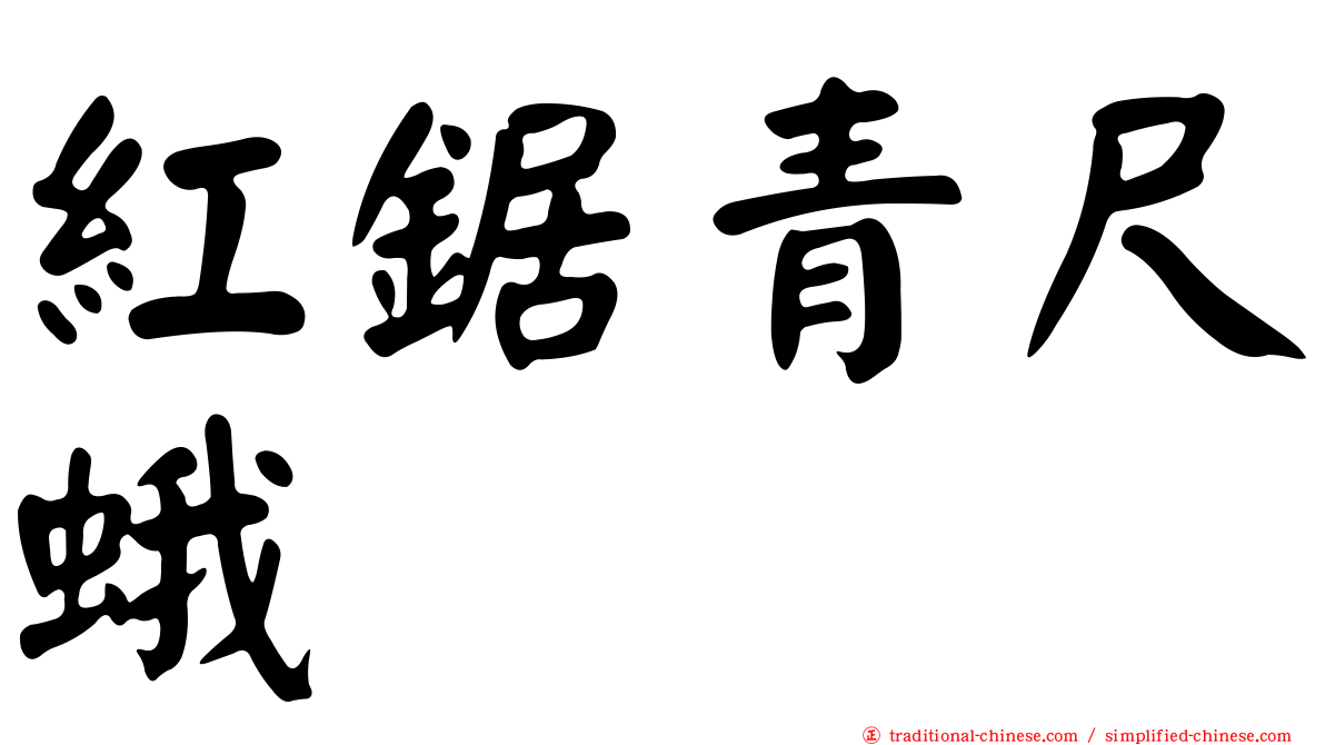紅鋸青尺蛾