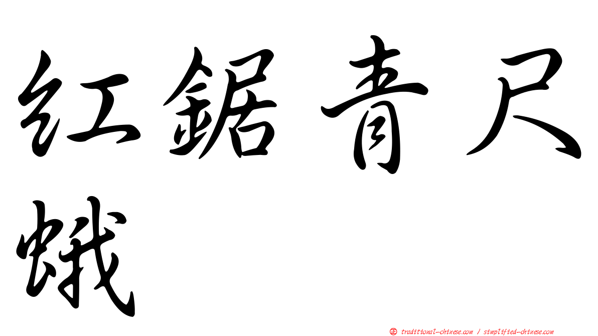 紅鋸青尺蛾