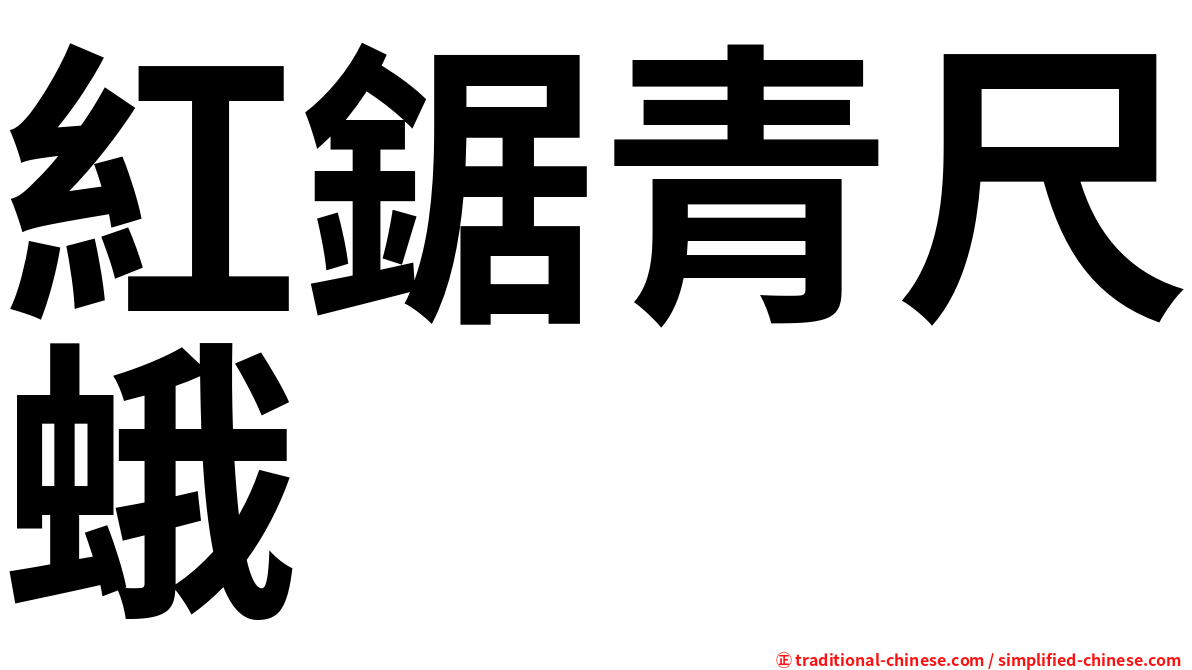 紅鋸青尺蛾