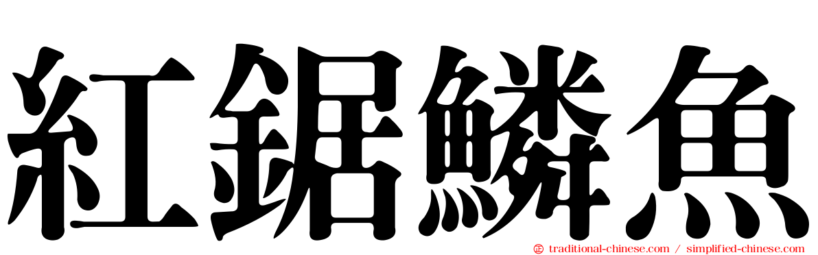 紅鋸鱗魚