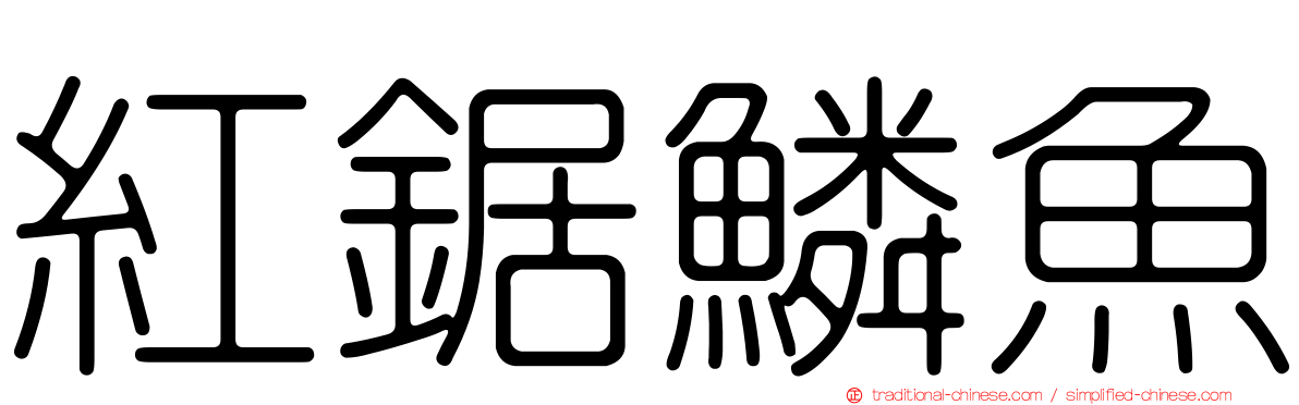紅鋸鱗魚