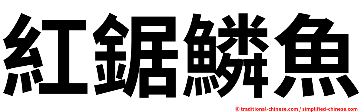 紅鋸鱗魚