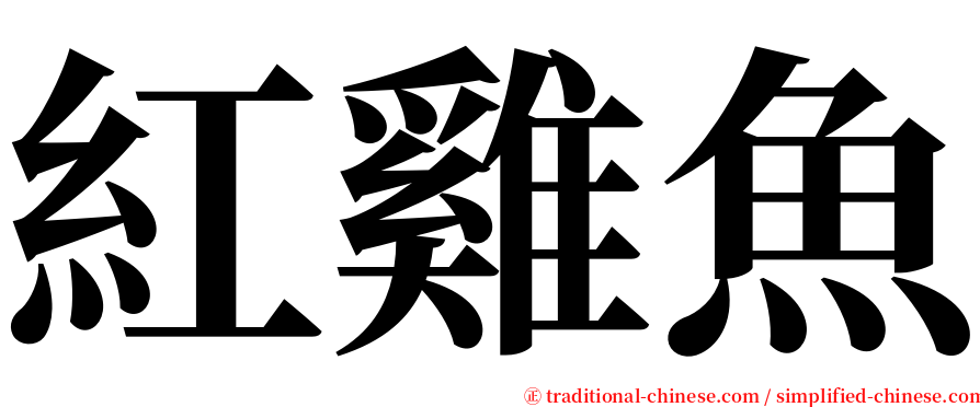 紅雞魚 serif font