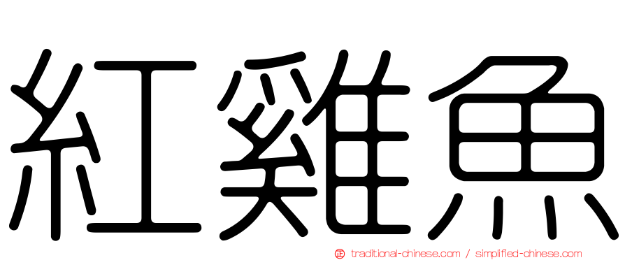 紅雞魚